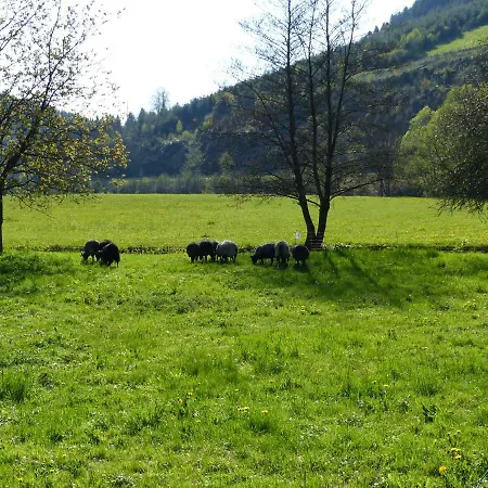 Apartment Sternberg Schmallenberg